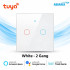 Tuya WiFi 2 Gang Smart Touch Switch White Color (Latest Edition)